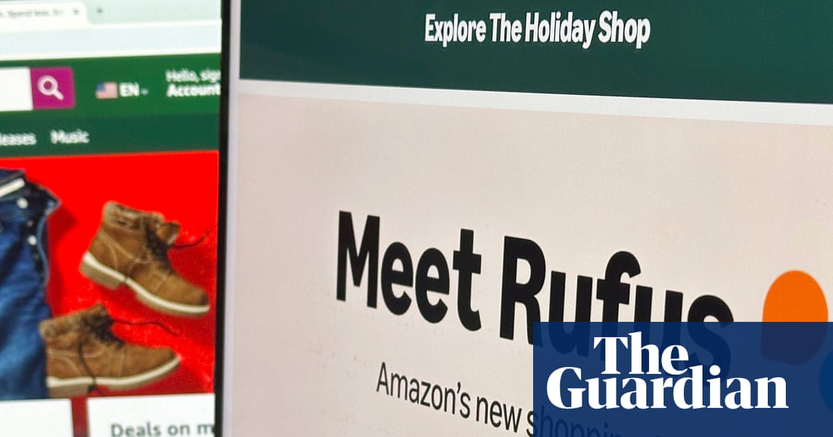 Consumer test drive: can AI do your Christmas gift shopping for you? | Shopping