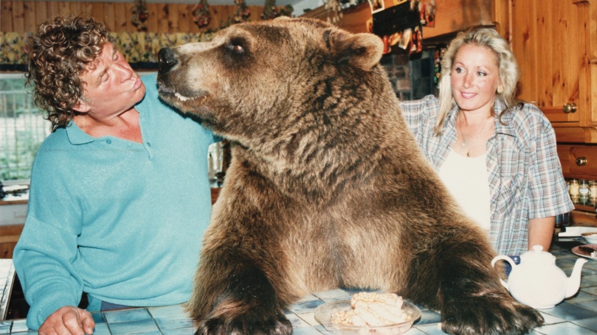 Their son Hercules was a grizzly bear. I was his vet