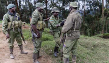 Jack Hill’s pictures of the year