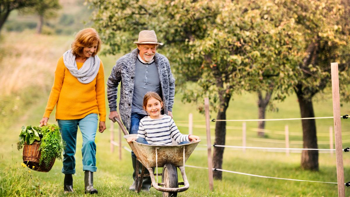 Families face £3m inheritance tax bills on ‘failed gifts’