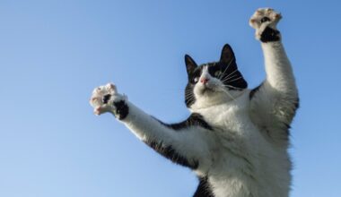 20 of the best entries for the RSPCA Young Photographer Awards 2025