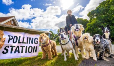 Local elections could be delayed again for millions of voters