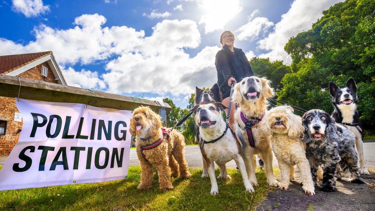 Local elections could be delayed again for millions of voters