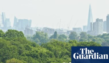 ‘Cities need nature to be happy’: David Attenborough seeks out London’s hidden wildlife | David Attenborough