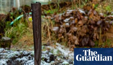 Now is the time to be bold and give your garden a reshuffle | Gardening advice