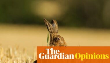The Guardian view on animal welfare: a timely reminder that cruelty is wrong | Editorial