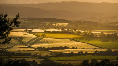 Simon Beckett A photograph of green rolling fields bathed in sunlight shot from a high vantage point