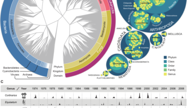 Airborne eDNA captures three decades of ecosystem biodiversity