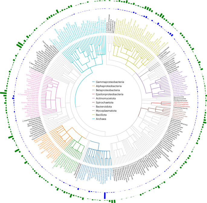 Large-scale analysis of bacterial genomes reveals thousands of lytic phages