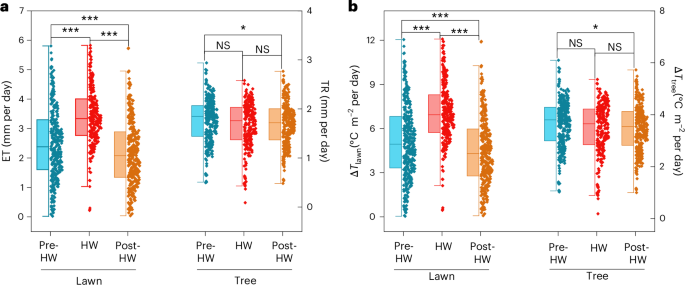 Observed evaporative cooling of urban trees and lawns during heatwaves