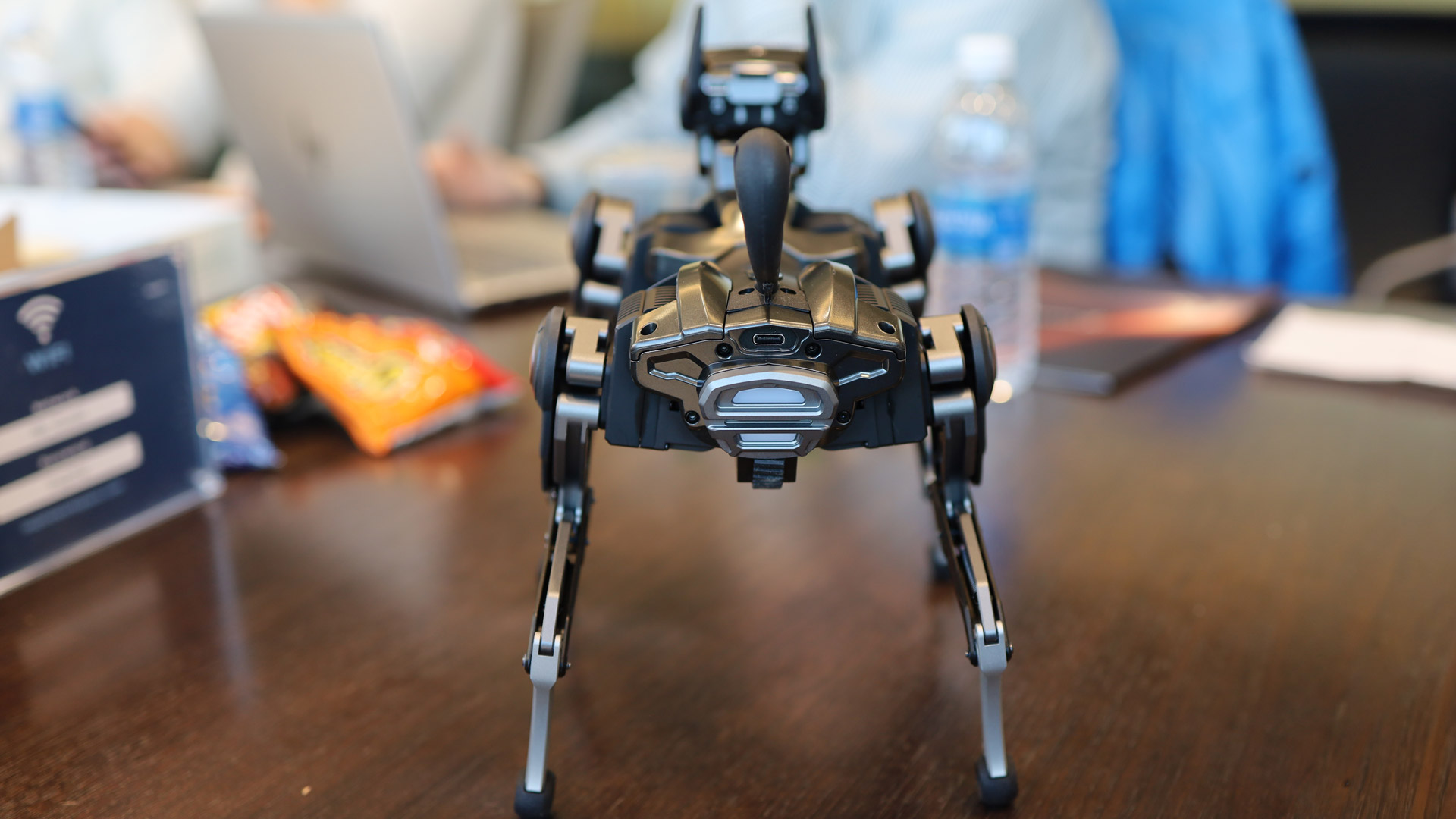 Hengbot Sirius robot Dog