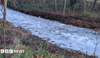 The river with a white surface and bumpy areas. It is between river banks which have grass and brown leaves and foliage