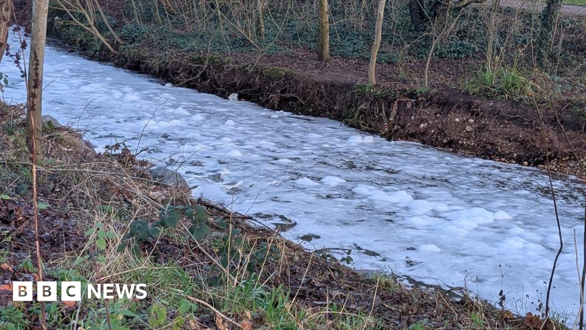 The river with a white surface and bumpy areas. It is between river banks which have grass and brown leaves and foliage