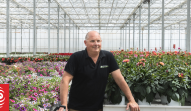 Lost in transition: The businesses trapped by New Zealand’s energy crisis