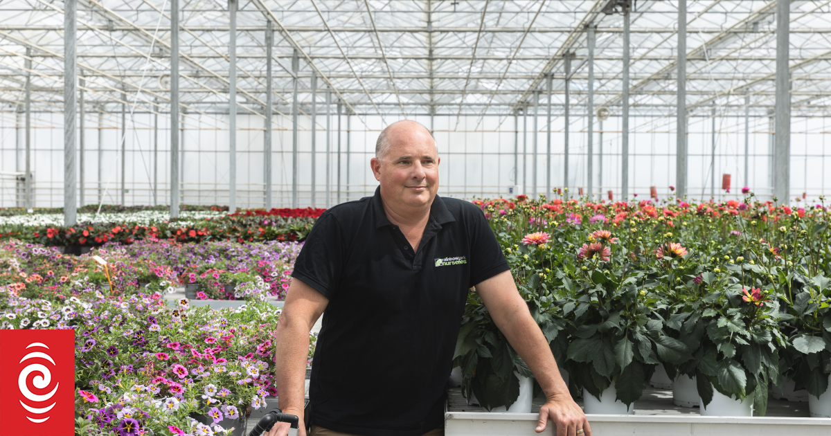 Lost in transition: The businesses trapped by New Zealand’s energy crisis