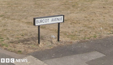 Dry grassy area with a sign which reads Burcot Avenue above. There is pavement to the front of the image