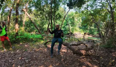 Living with snakes: Lessons from forest communities – 28 December 2025