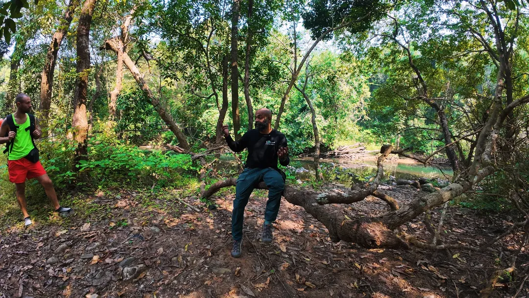 Living with snakes: Lessons from forest communities – 28 December 2025