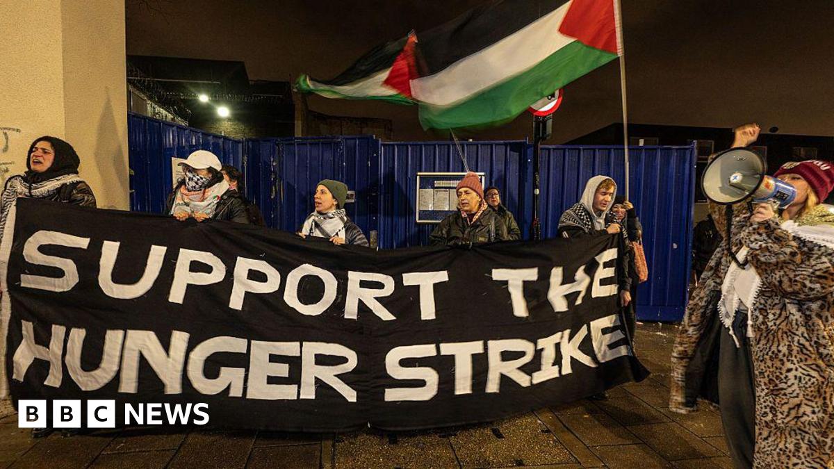 Protesters hold up a sign reading 'Support the hunger strike' and wave Palestine flags