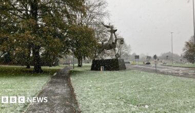 The stag statue on the University of Surrey campus, on a plinth in front of a tree, is seen through falling snow, with some snow beginning to lay on the grass around it.
