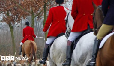 A photograph of several people on horseback behind a pack of dogs.