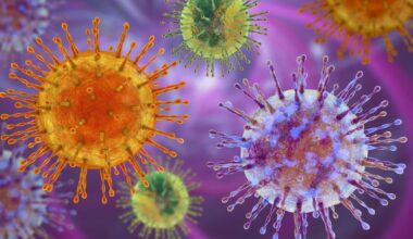 Deadly virus confirmed in Europe as WHO issues new warning 6 years after Covid | World | News