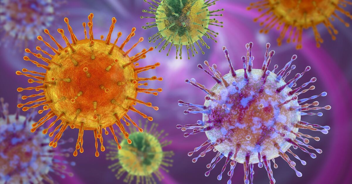 Deadly virus confirmed in Europe as WHO issues new warning 6 years after Covid | World | News