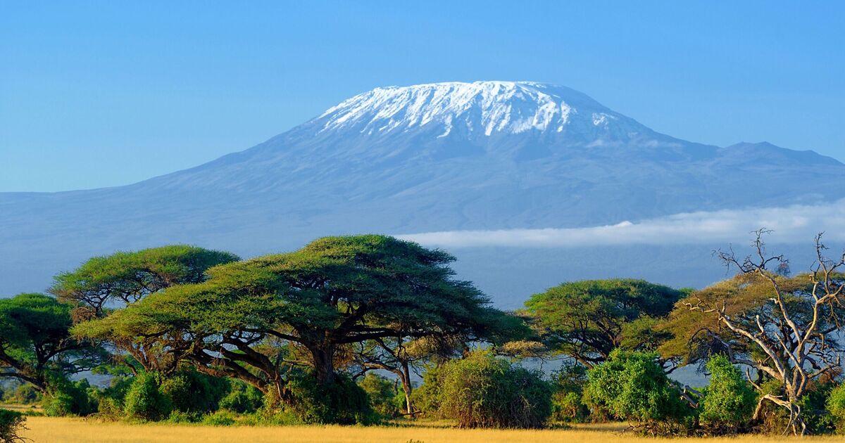 Mount Kilimanjaro helicopter crash kills 5 including tourists | World | News