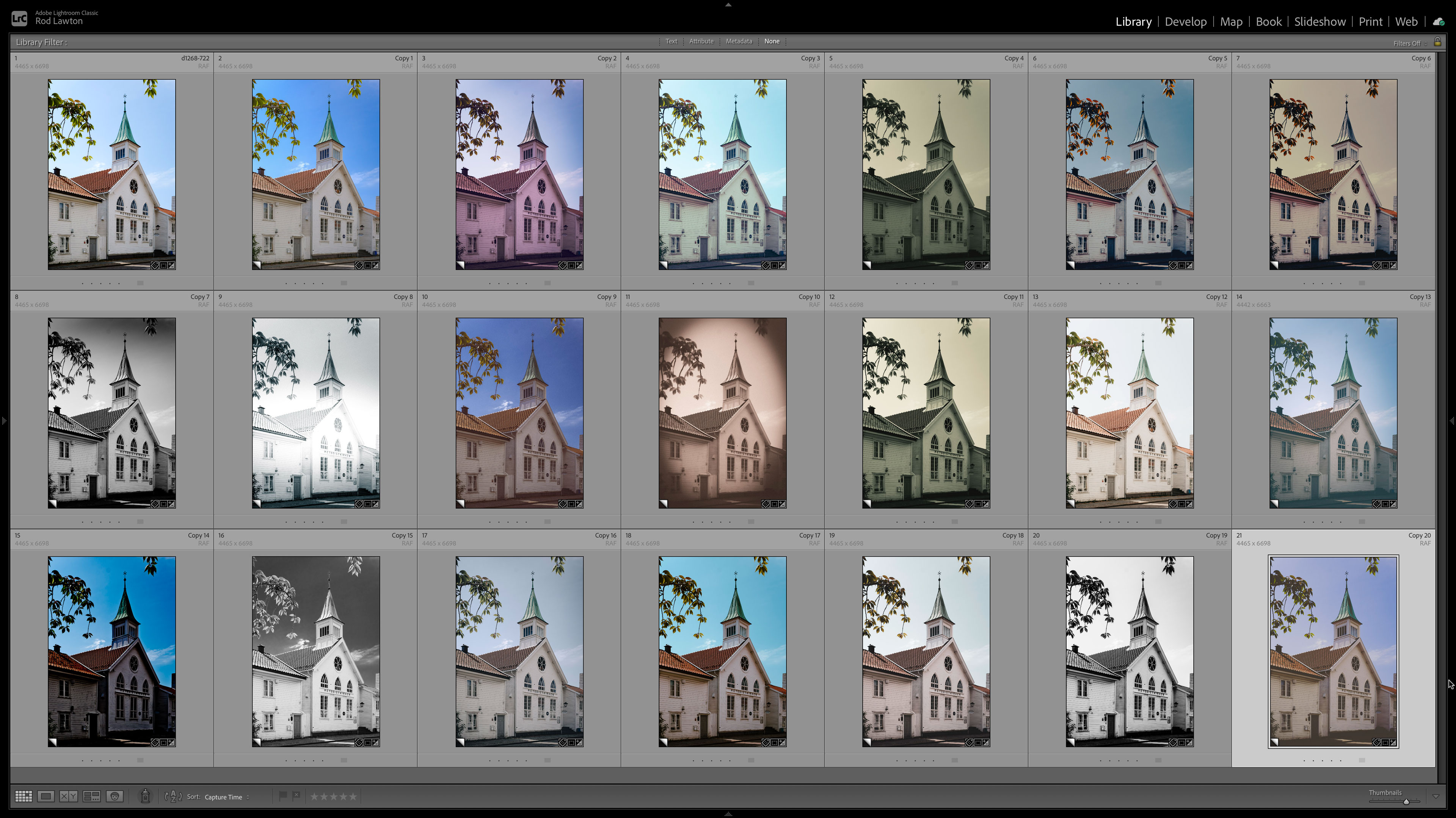 Lightroom presets and virtual copies
