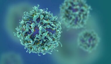 Nutritional Elements That Can Increase Cancer Risk