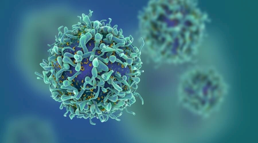 Nutritional Elements That Can Increase Cancer Risk