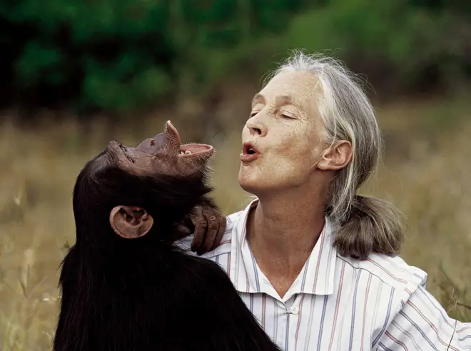 Jane Goodall