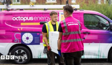Octopus energy van and two Octopus energy employees carrying a boiler