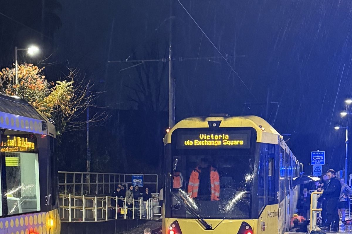 Trams were halted following the incident 