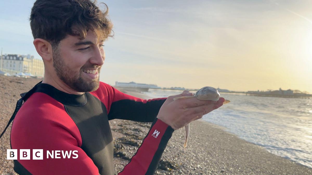 Gio, a young man with brown hair in a red and black wetsuit proudly holds a small cat shark up to the camera.