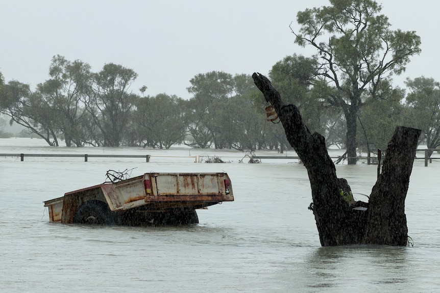 tractor tray under water and tree stump surrounded by water