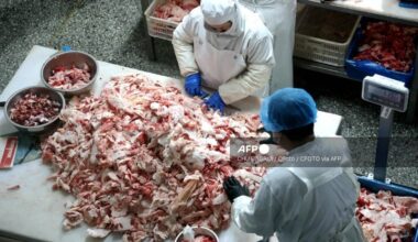 China to impose extra 55% tariffs on some beef imports