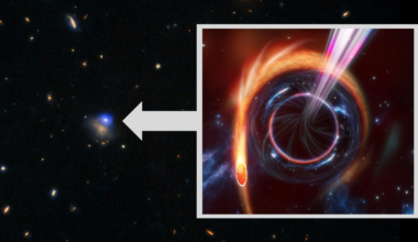 (Main) This composite image features X-ray, ultraviolet, optical, and near-infrared data of the luminous fast blue optical transient (LFBOT) named AT 2024wpp. The transient is the bright spot at the upper right edge of its host galaxy, which is 1.1 billion light-years from Earth. (Inset) An illustration of a Tidal Disruption Event