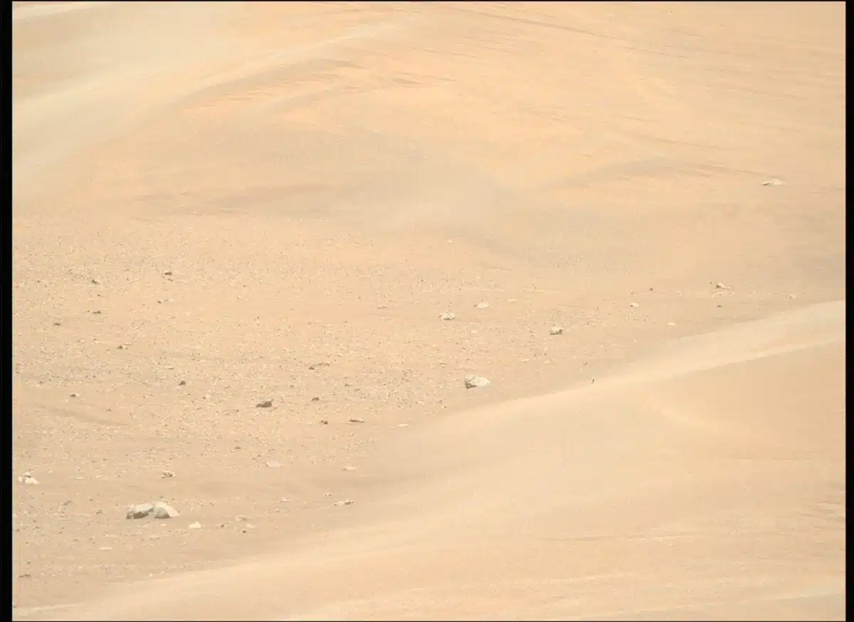 At “kerrlaguna,” Perseverance Caught A Striking View Of Inactive Megaripples Frozen In Place.