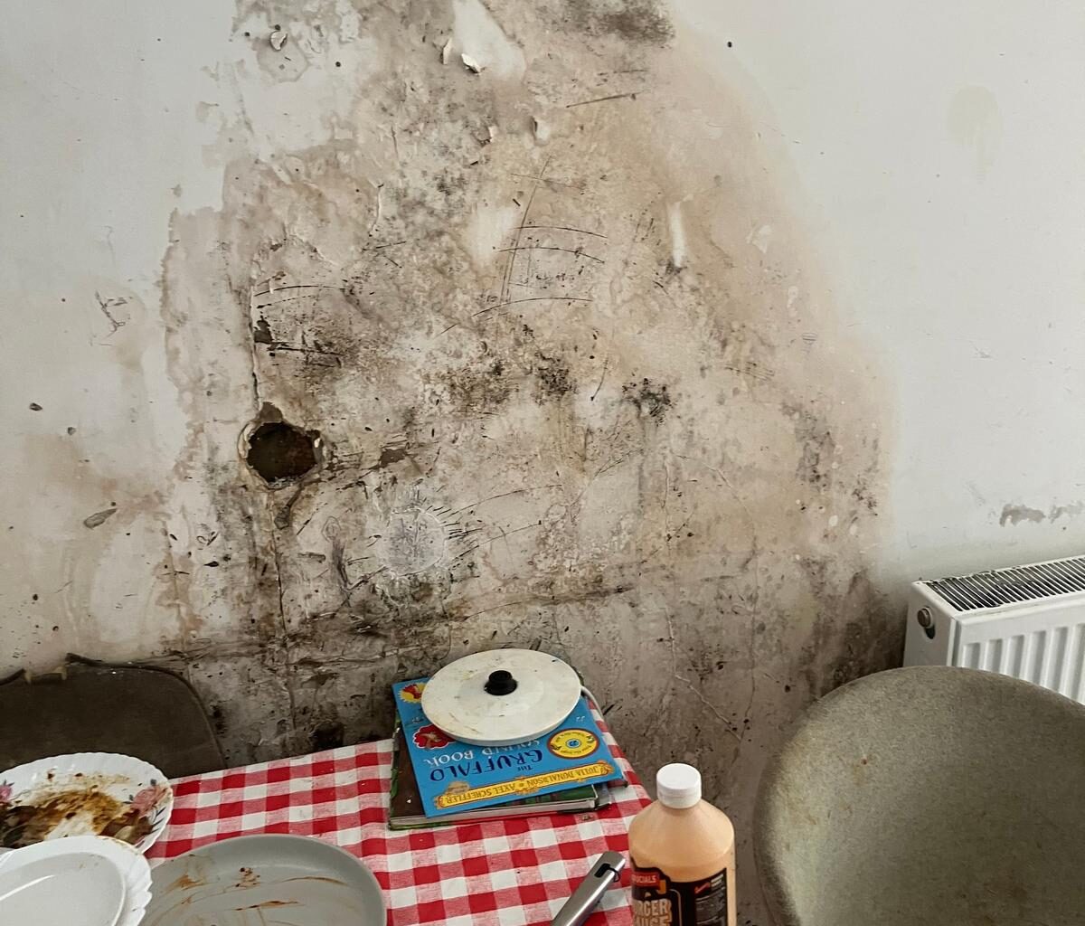 Crackdown on London landlords renting out mouldy and unsafe homes to be expanded - London Evening Standard