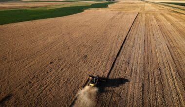 Argentine farmers bag last fields of a dream wheat season