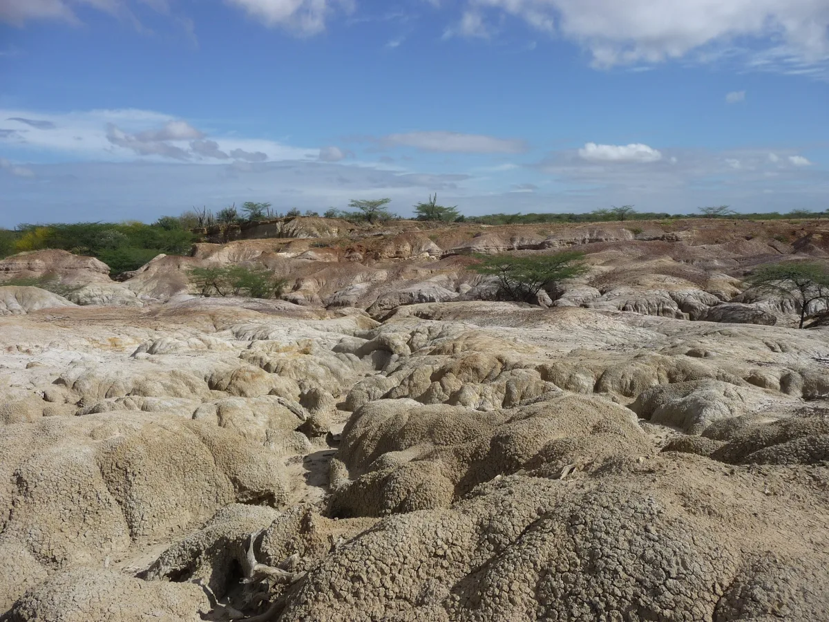 Fossiliferous locality in Urumaco, Venezuela
