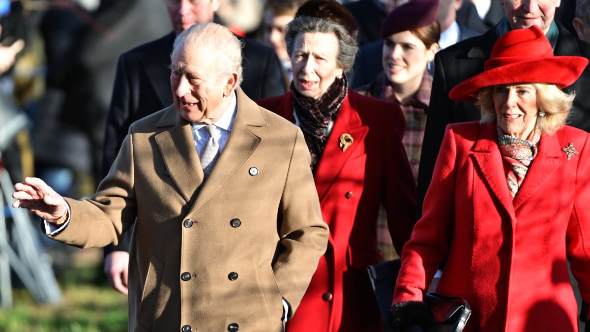 King Charles III calls for kindness and unity in Christmas message – NBC4 Washington