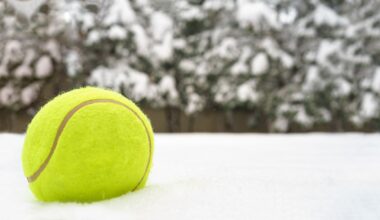 People are doing this with tennis balls in their backyards this winter — and it makes more sense than you think