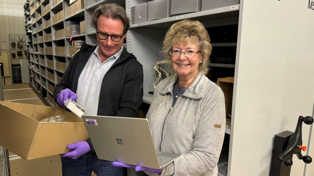 Art Fund awards £1.3m to museums and galleries for collections work