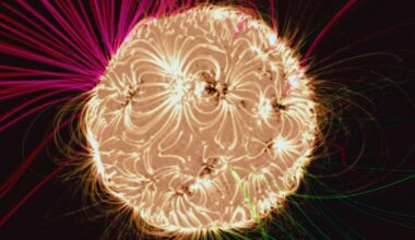 Nasa’s Parker Probe Captures The Sun’s Hidden Magnetic Forces On Video For The First Time
