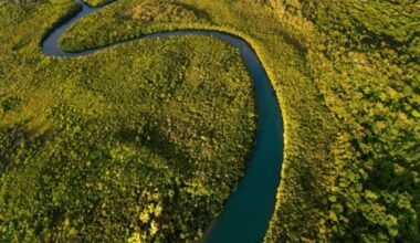 Nasa’s Satellite Images Captured A Brown Desert Turned Into A New Oasis