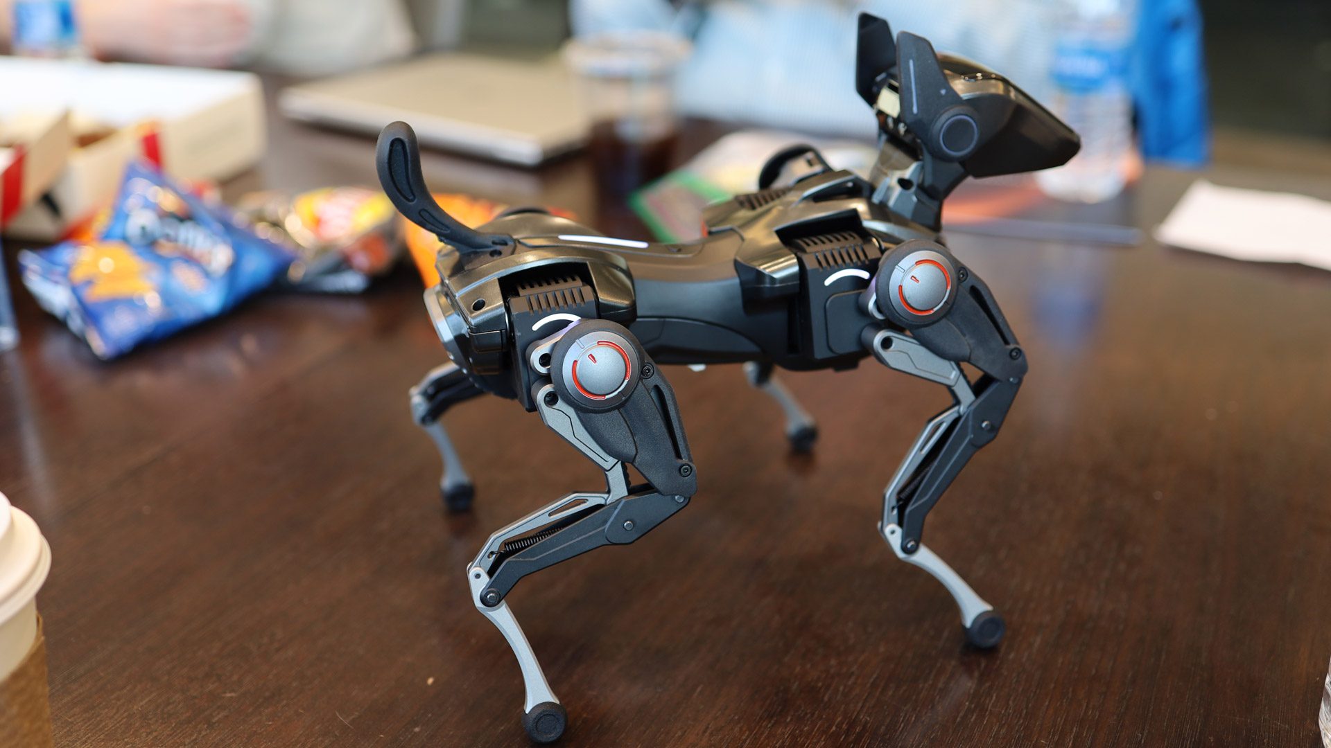 Hengbot Sirius robot Dog