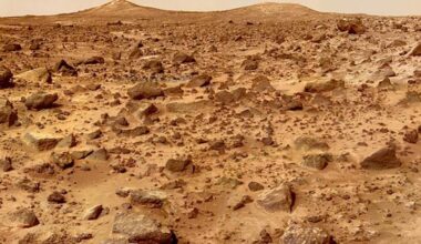 The search for life on the surface of Mars has been ranked as a top priority for the human exploration of the red planet (Credit : NASA)