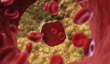 Think you know about good and bad cholesterol? Read this first